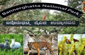 ಆನೇಕಲ್ನಲ್ಲಿ ಎರಡನೇ ಕ್ರಿಕೆಟ್ ಸ್ಟೇಡಿಯಂ ಯೋಜನೆಗೆ ರೈತರು-KRS ತೀವ್ರ ವಿರೋಧ