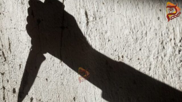 Untitled design (23)