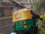 ಆಟೋ ಮೇಲೆ ಬಿದ್ದ ಮರ : ಗಾಢ ನಿದ್ರೆಯಲ್ಲಿದ್ದರೂ ಚಿಕ್ಕಮಗಳೂರು ಮೂಲದ ಚಾಲಕ ಪಾರು