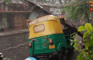 ಆಟೋ ಮೇಲೆ ಬಿದ್ದ ಮರ : ಗಾಢ ನಿದ್ರೆಯಲ್ಲಿದ್ದರೂ ಚಿಕ್ಕಮಗಳೂರು ಮೂಲದ ಚಾಲಕ ಪಾರು