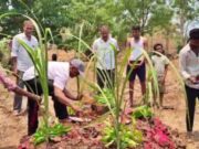 ಮಂಗನಿಗೆ ಲಿಂಗಾಯತ ಸಂಪ್ರದಾಯದಂತೆ ಅಂತ್ಯಕ್ರಿಯೆ ಮಾಡಿದ ಗ್ರಾಮಸ್ಥರು : ಚಿಕ್ಕೋಡಿ