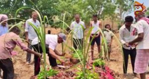 ಮಂಗನಿಗೆ ಲಿಂಗಾಯತ ಸಂಪ್ರದಾಯದಂತೆ ಅಂತ್ಯಕ್ರಿಯೆ ಮಾಡಿದ ಗ್ರಾಮಸ್ಥರು : ಚಿಕ್ಕೋಡಿ