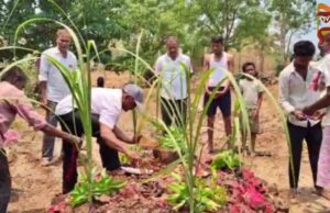 ಮಂಗನಿಗೆ ಲಿಂಗಾಯತ ಸಂಪ್ರದಾಯದಂತೆ ಅಂತ್ಯಕ್ರಿಯೆ ಮಾಡಿದ ಗ್ರಾಮಸ್ಥರು : ಚಿಕ್ಕೋಡಿ