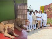 ಕಲಬುರಗಿ : ಆಕರ್ಷಕ ಮೃಗಾಲಯ ಲೋಕಾರ್ಪಣೆ