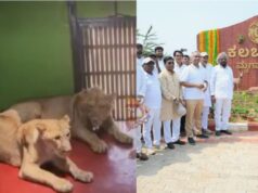 ಕಲಬುರಗಿ : ಆಕರ್ಷಕ ಮೃಗಾಲಯ ಲೋಕಾರ್ಪಣೆ