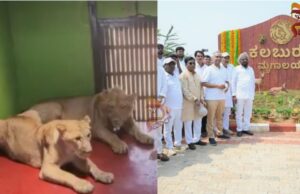 ಕಲಬುರಗಿ : ಆಕರ್ಷಕ ಮೃಗಾಲಯ ಲೋಕಾರ್ಪಣೆ
