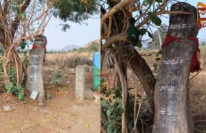 2,500 ವರ್ಷಗಳ ಹಿಂದಿನ ಪುರಾತನ ಶವಗುಣಿ ನಿಲುಸುಗಲ್ಲು ಪತ್ತೆ