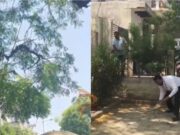 ಅಕ್ಕನ ಮದುವೆ ಒಂದು ದಿನ ಗುಂಡು ಹಾರಿಸಿಕೊಂಡು ತಮ್ಮ ಆತ್ಮಹತ್ಯೆ