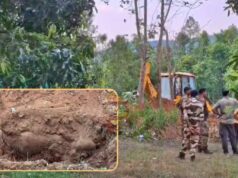 ಫಾರ್ಮ್ಹೌಸ್ನಲ್ಲಿ ಕಾಡಾನೆ ಕೊಂದು ಹೂತು ಹಾಕಿದ ಮಾಲೀಕ ಹಾಗೂ ಮೂವರು