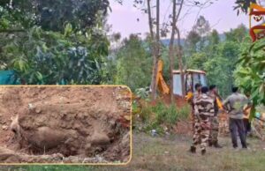 ಫಾರ್ಮ್ಹೌಸ್ನಲ್ಲಿ ಕಾಡಾನೆ ಕೊಂದು ಹೂತು ಹಾಕಿದ ಮಾಲೀಕ ಹಾಗೂ ಮೂವರು
