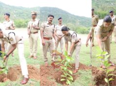ವಿಶ್ವ ಪರಿಸರ ದಿನಾಚರಣೆ ಅಂಗವಾಗಿ ಪೊಲೀಸ್ ಇಲಾಖೆಯಲ್ಲಿ ವನಮಹೋತ್ಸವ