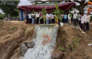 ಮೈಸೂರು : ಸೋಮನಹಳ್ಳಿ, ಮರದೂರು ಭಾಗದ ಕೆರೆಗಳಿಗೆ ಜೀವ ಕಳೆ