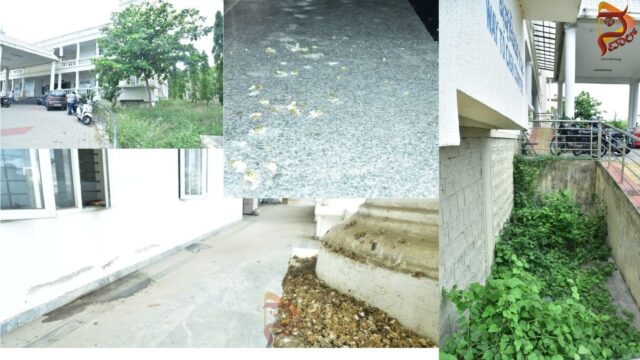 Untitled design (6)